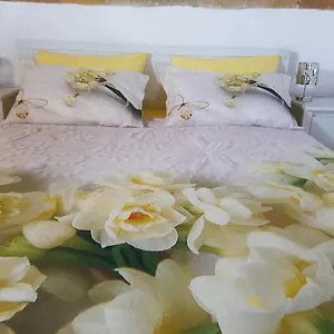 https://bbittle.it-romehotels.com